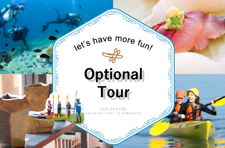 meaning of optional tour